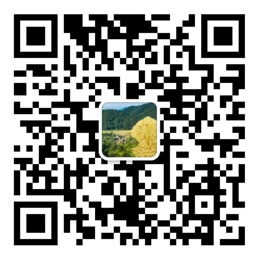 一分彩票官方app